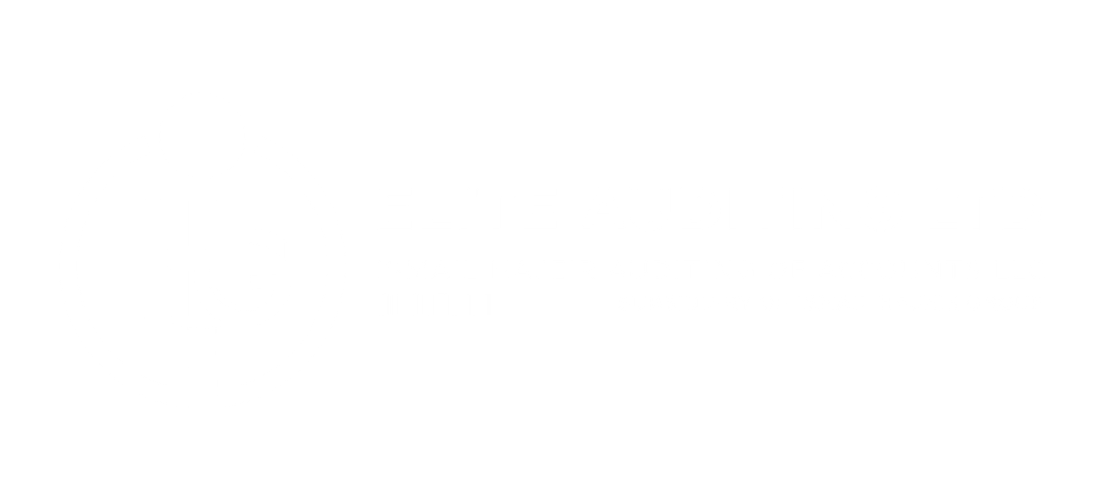 Elite Auditing
