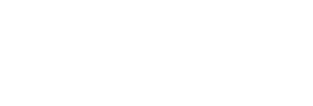 Elite Auditing 