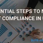 Essential Steps to Master VAT Compliance in UAE A Complete Guide 2024