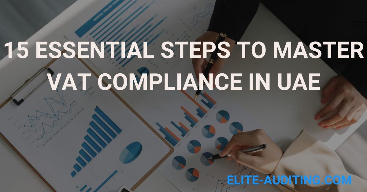 15 Essential Steps to Master VAT Compliance in UAE A Complete Guide 2024