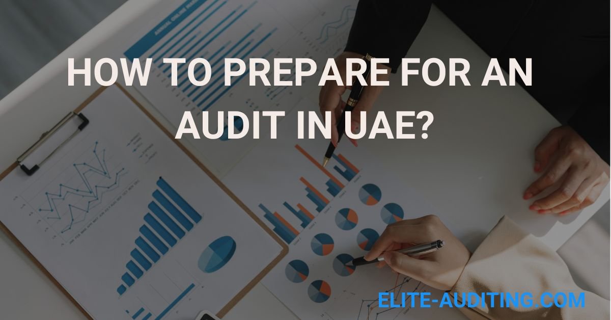 How to Prepare for an Audit in UAE