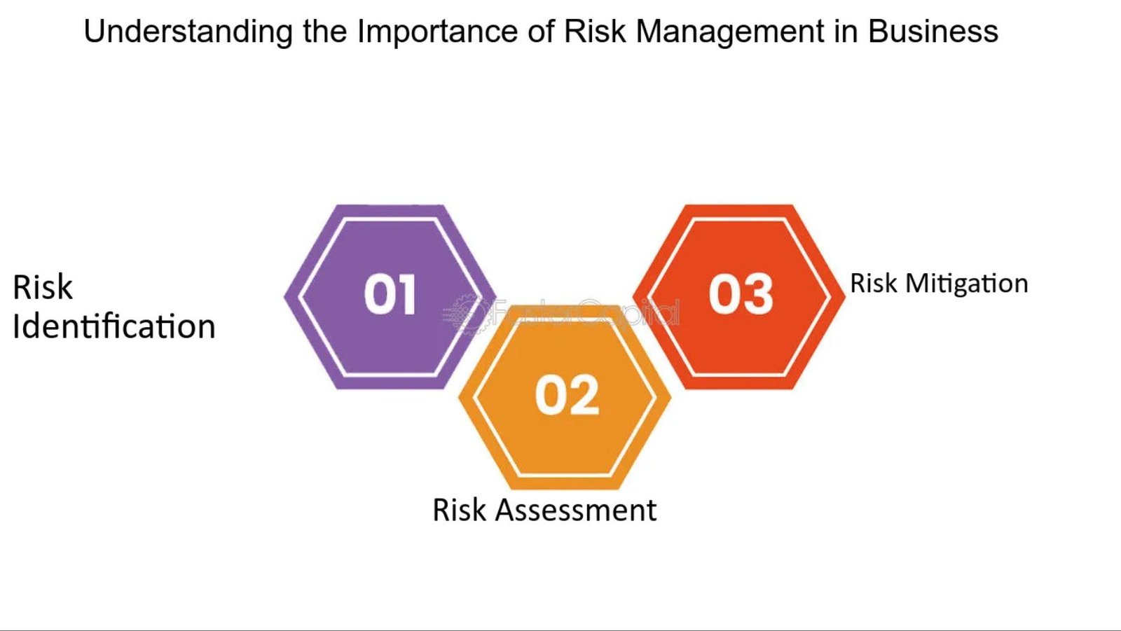 Why Is Risk Management Important for UAE Business